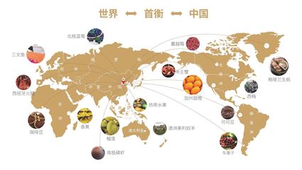 枝葉關情暖民生，首衡城聚貿易興——孝南區第二屆網評大賽東湖評論